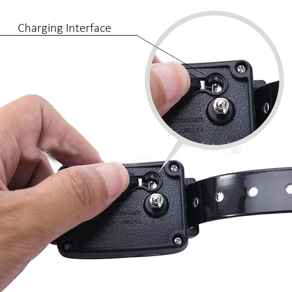 For 2 Dogs Complete Static Electric Dog Electric Dog Fence for Inground Fence